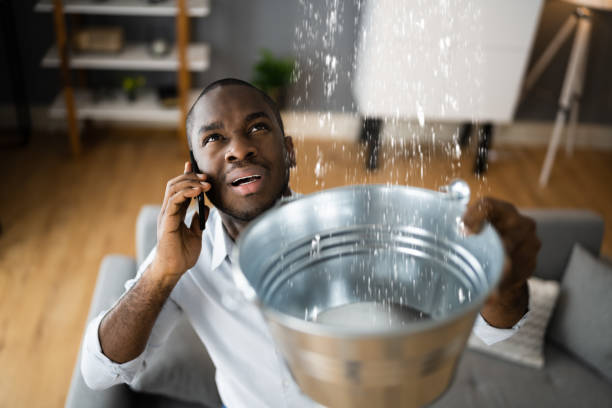 Best Water damage restoration near me  in Elsberry, MO