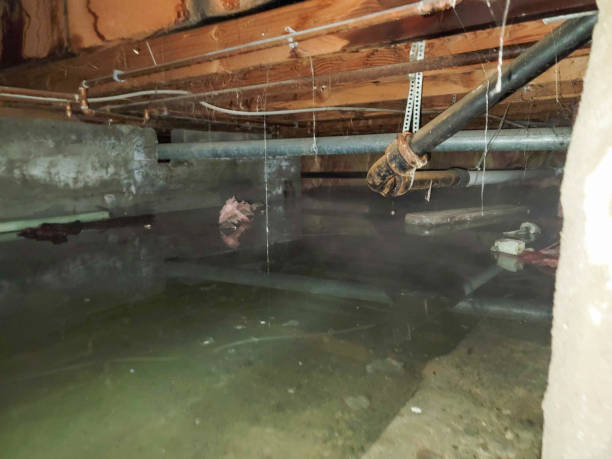 Professional Water damage restoration in MO