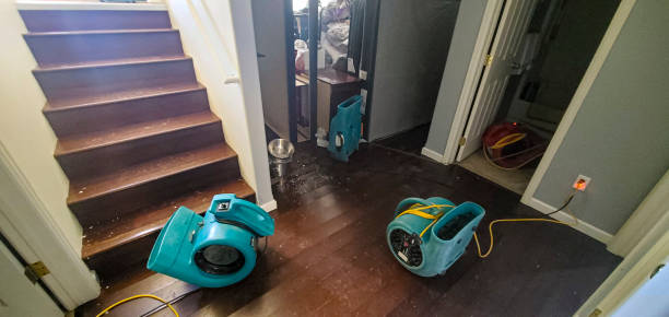Best Residential water damage restoration  in Elsberry, MO