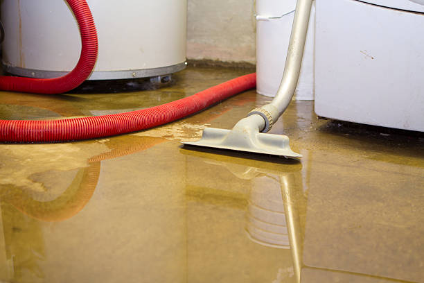 Best 24-hour water damage restoration  in Elsberry, MO