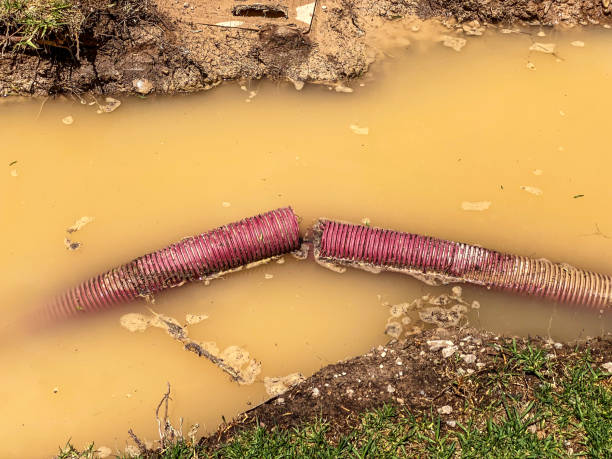 Best Commercial water damage restoration  in Elsberry, MO