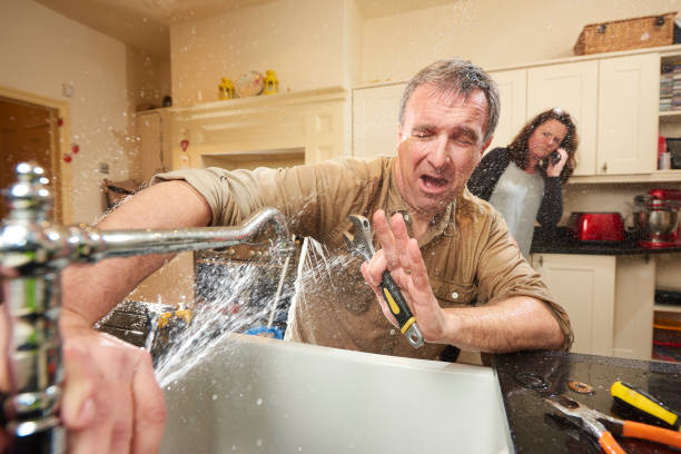 Best Water damage mitigation services  in Elsberry, MO